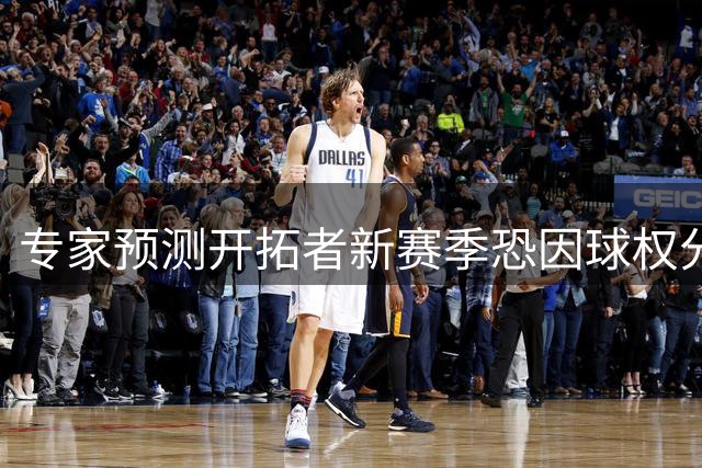 专家预测开拓者新赛季恐因球权分配跌出前八