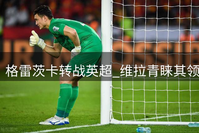 格雷茨卡转战英超 维拉青睐其领袖气质与硬朗作风